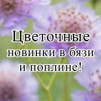 Продлеваем лето!